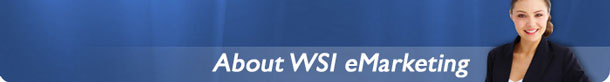 About WSI-eMarketing.com